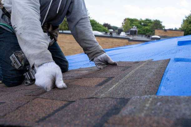 Best Roofing for New Construction  in Marion, VA